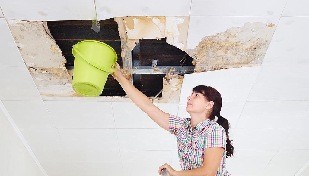 water damage service