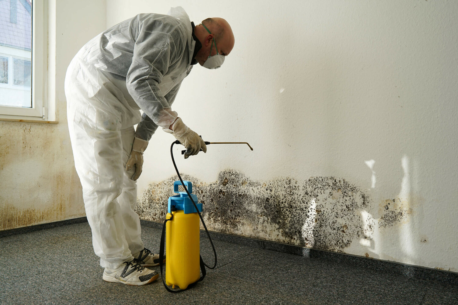 Mold Damage Repair Experts in portland OR