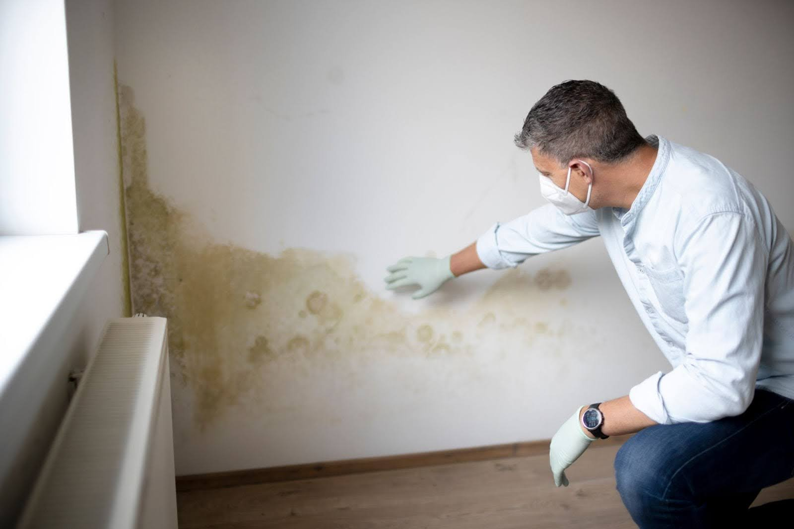 Mold Damage Service Near You in Vancouver, WA