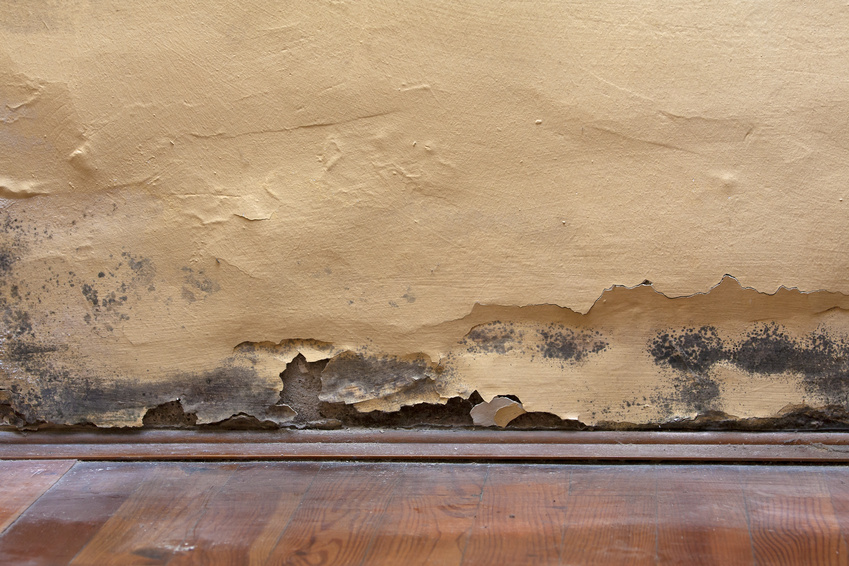 Water Damage Restoration Service Near At in Vancouver' WA