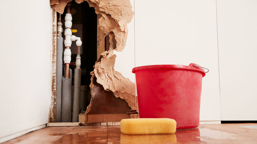 Water Damage Restoration Service Near At in Vancouver, WA