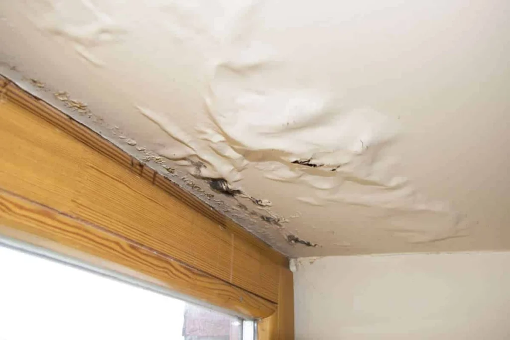 Water Damage Services Near At in Portland. OR
