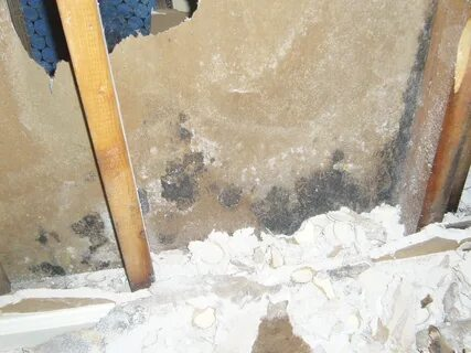 Mold Damage an camas,wa,.