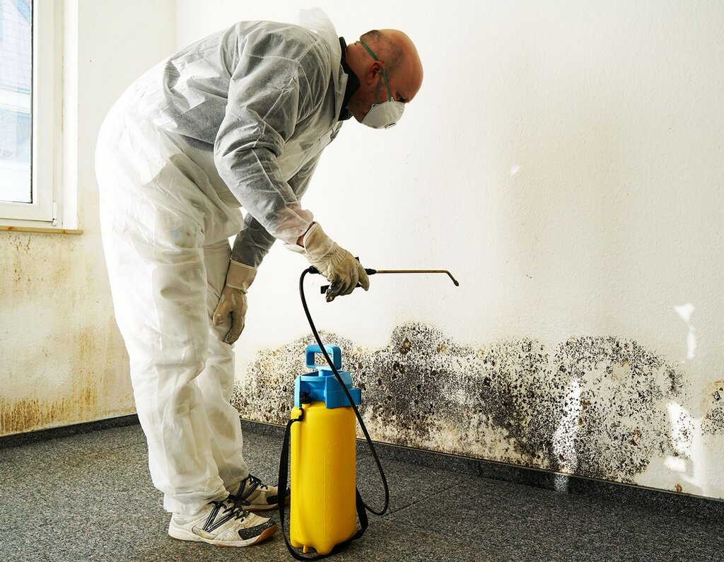 Mold Damage an camas,wa